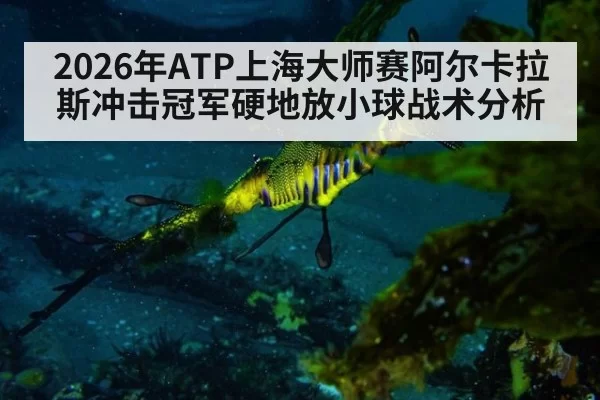 2026年ATP上海大师赛阿尔卡拉斯冲击冠军硬地放小球战术分析